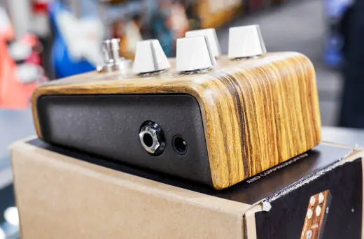 L.R Baggs - Align Series Session Pedal 2